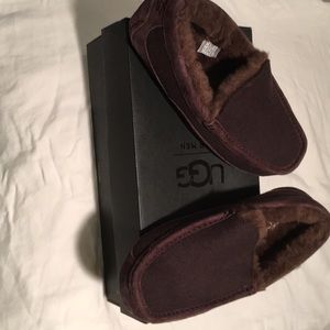 Uggs Slippers